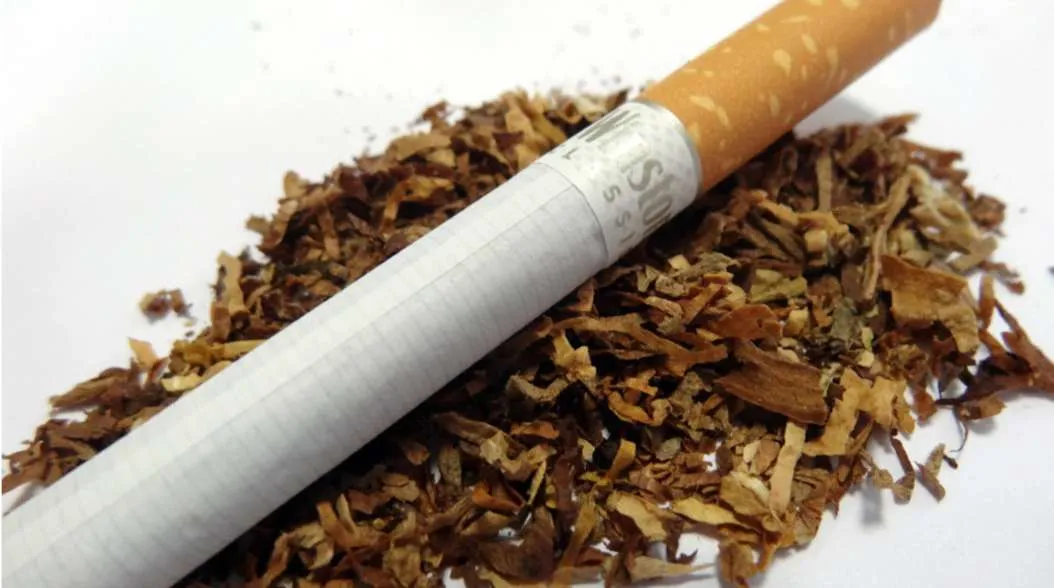 Comparative tasting of Winston cigarettes. CigsSpot
