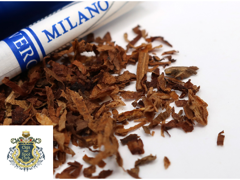 Milano Vero flavor profile: light with a subtle chocolate nuance