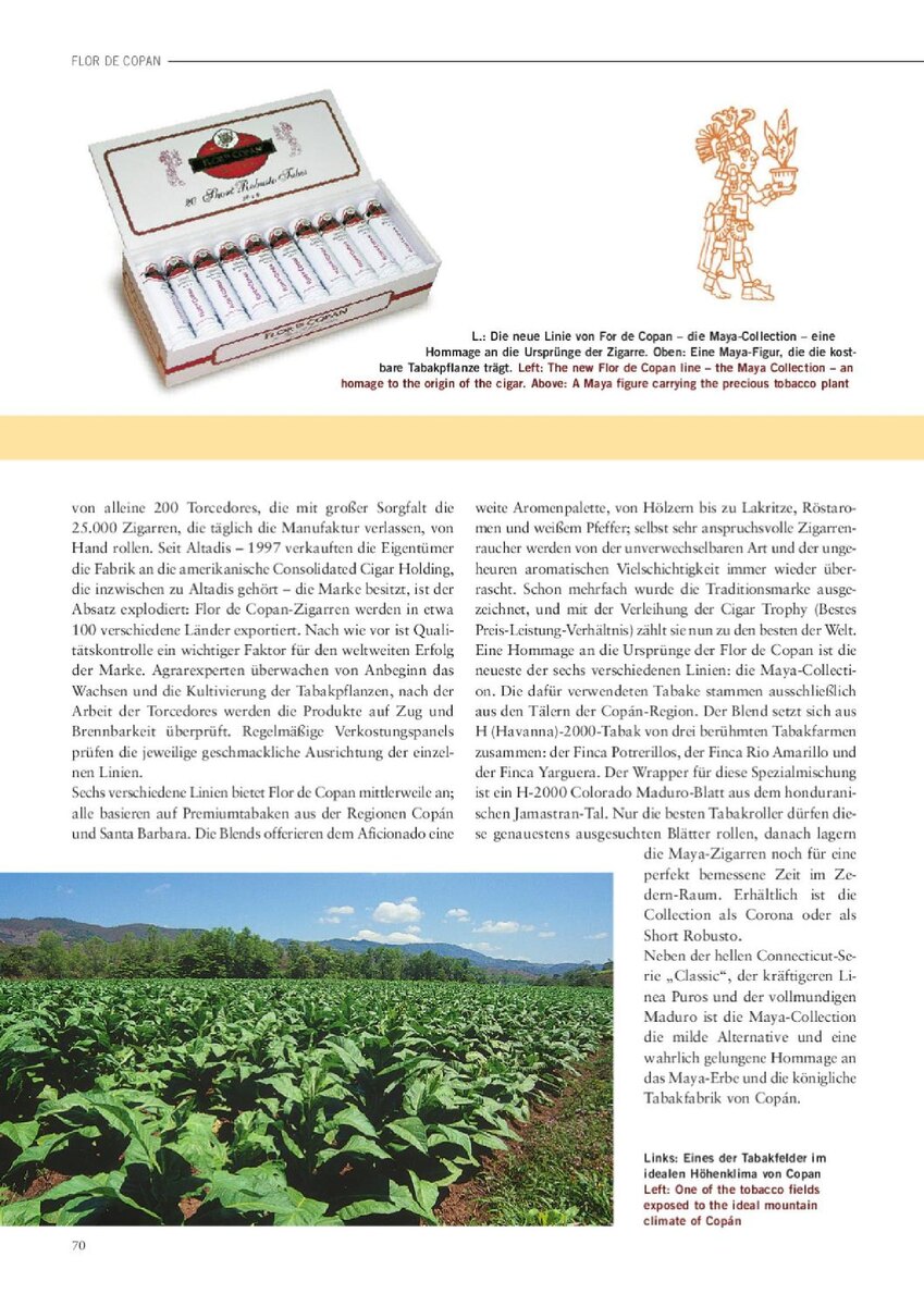 Flor de Copan article image
